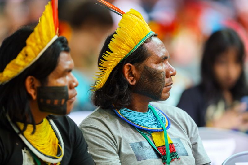 Indígenas do estado do Pará