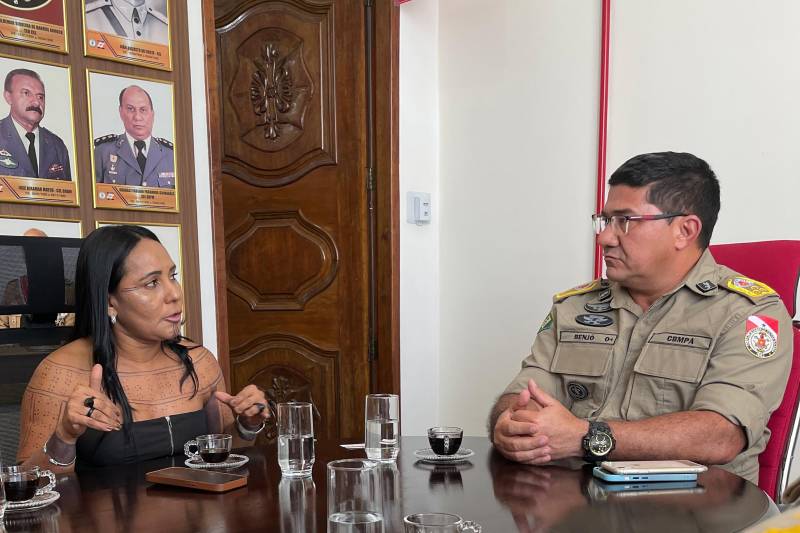 Secretaria de Povos Indígenas e Corpo de Bombeiros firmam parceria para curso de brigada de incêndio para indígenas