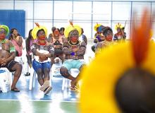 São Félix do Xingu