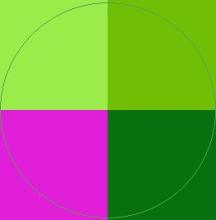 Ad caecus consequat eu wisi.