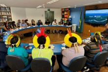 A região é considerada como uma das mais devastadas por ações de garimpeiros no sul do Pará